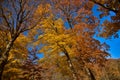 Fall at North Shore at Devils Lake State Park Royalty Free Stock Photo