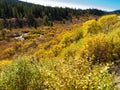 Fall in northern wilderness, Yukon T, Canada Royalty Free Stock Photo