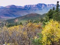 Fall in northern wilderness, Yukon T, Canada Royalty Free Stock Photo