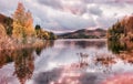 Norwegian fall Royalty Free Stock Photo