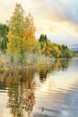 Norwegian fall Royalty Free Stock Photo