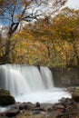 Fall of Oirase, Japan Royalty Free Stock Photo