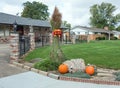 Fall Ornamental Grass Display with Pumpkins Royalty Free Stock Photo