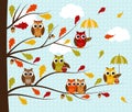 Fall Owls