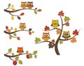 Fall owls