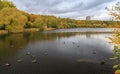 Fall in the park. Autumn trees reflected in the pond. Calm and tranquility.