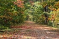 Fall pathway with colorfull leaves and trees