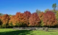 Galena Fall Foliage #7