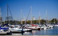 Fall Picture of Montrose Harbor