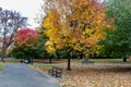 Fall in Prospect Park, Brooklyn with colorful trees