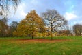 Fall in a Public Park in London Royalty Free Stock Photo