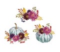 Autumn floral pumpkin decorations. Watercolor hand painted fall flowers pumpkins illustration. Burgundy, red, purple flower Royalty Free Stock Photo