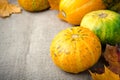 Fall pumpkin and decorative squash with autumn leaves on a linen background