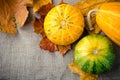 Fall pumpkin and decorative squash with autumn leaves on a linen background