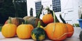 Fall pumpkin display september