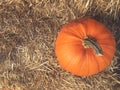 Fall Pumpkin With Hay Background Shot From Directly Above Royalty Free Stock Photo