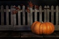 Fall Pumpkin Picket Fence