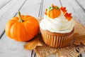 Fall pumpkin spice cupcake with creamy frosting close up against white wood Royalty Free Stock Photo