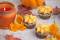 Fall pumpkin spice cupcakes with creamy frosting and autumn toppings. Royalty Free Stock Photo