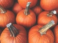 Fall Pumpkins Background Royalty Free Stock Photo