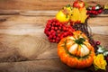 Fall pumpkins, rowan berries wreath, copy space Royalty Free Stock Photo