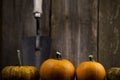 Fall pumpkins with white hand shovel.