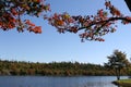 Fall at a quit lake