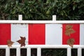 Wet brown maple leaves on dirty surface of striped safety equipment fencing with dark green foliage background.