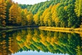 Fall reflection in the river. Royalty Free Stock Photo