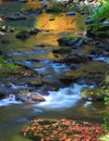 Fall Reflections on Fall Creek