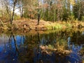 Fall reflections