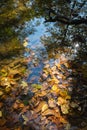 Fall Reflections on Prickett Creek Royalty Free Stock Photo