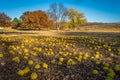 Fall River State Park Kansas