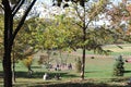 Fall in the Riverdale park in downtown Toronto