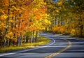 Fall road