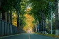 Fall road in college 2 Royalty Free Stock Photo