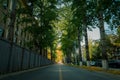 Fall road in college 3 Royalty Free Stock Photo