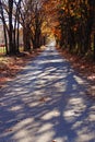 Fall Rural Road in Horse Country Royalty Free Stock Photo