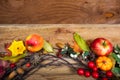 Fall background with pumpkin, apples, red berries wreath, copy s Royalty Free Stock Photo