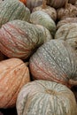 Many large orange and green striped pumpkins on table at market