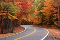 Fall S Curve Royalty Free Stock Photo