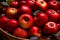 Fall\'s fruitful gift, basket overflowing with red juicy organic apples