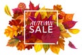 Fall sale banner. Autumn season sales, autumnal discount and fallen leaves banners frame vector illustration
