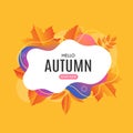 Fall sale banner design. Autumn sale sticker template. Promo badge. Vector illustration