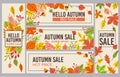 Fall sale banners. Autumn season sales promotion banner, seasons discount and autumnal poster with fallen leaves vector