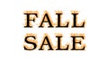 Fall Sale fire text effect white isolated background Royalty Free Stock Photo