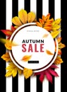 Fall sale. Seasonal autumn promotion design with red and yellow 3d leaves. September and october discount ad. Vector