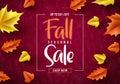 Fall sale seasonal vector banner. Fall season sale text typography Royalty Free Stock Photo