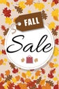 Fall Sale Shopping Bag Leaves Vector Background 1
