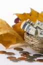 Fall Savings Royalty Free Stock Photo